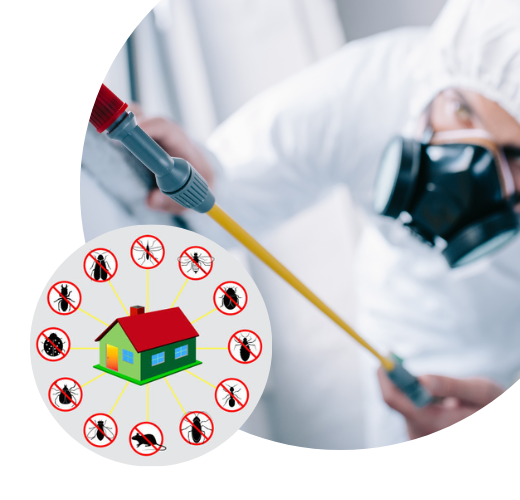 Pest Control  Mount Waverley Services