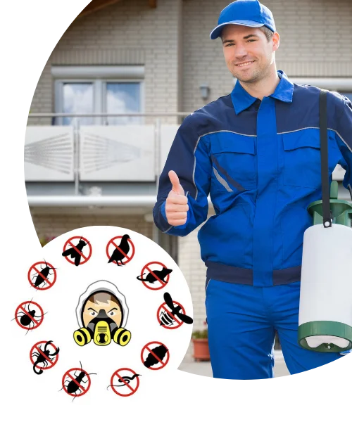 Pest Control Essendon