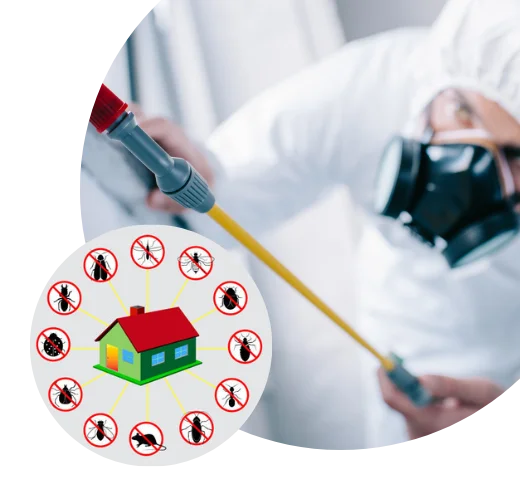 Pest Control Services Essendon