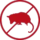 Possum Removal Essendon